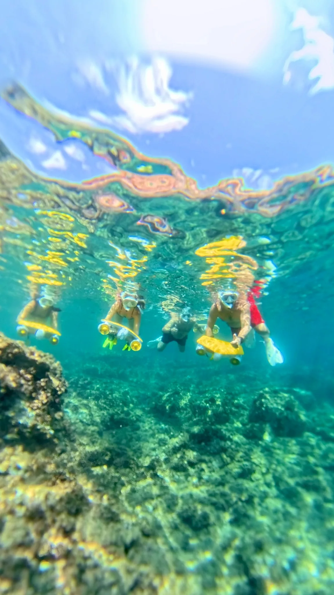 Snorkel a motor Cabo de Palos